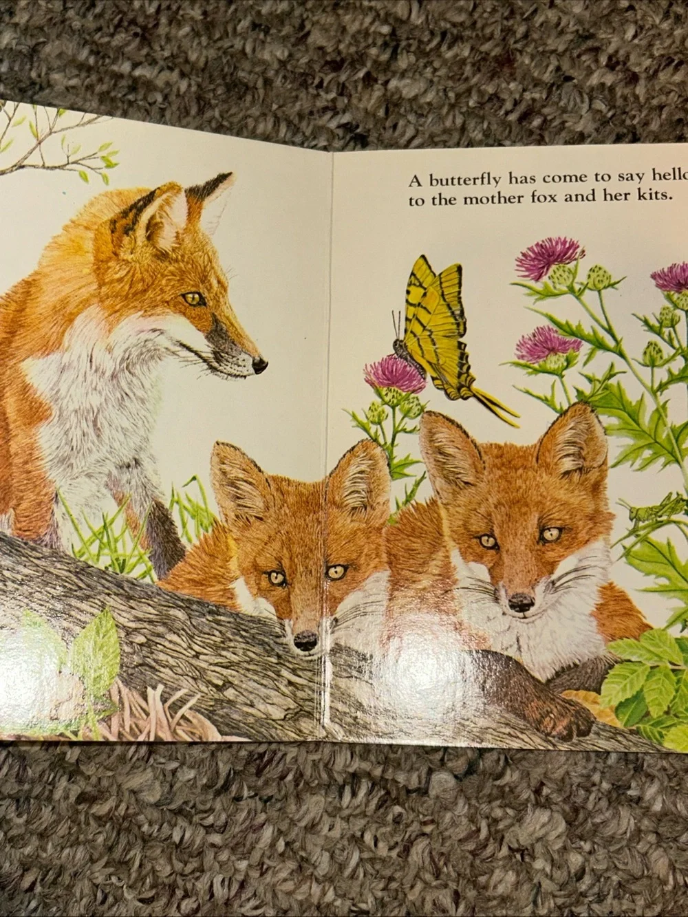 Animals In The Woods By Michele Chopin Roosevelt, Hardcover, 1981